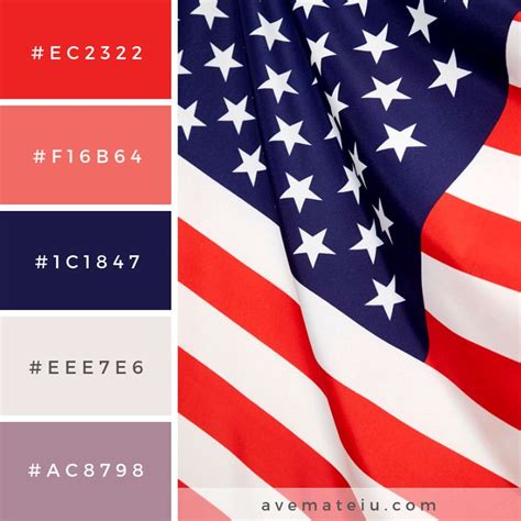 american flag color palette.